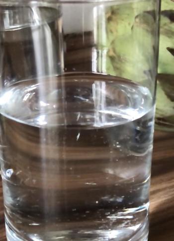Wasserglas mit Salzflocken